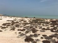 A70X Al Safliyah Island