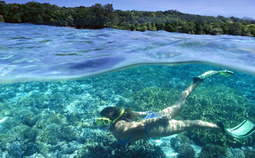 Palau Islands DX News T88TF