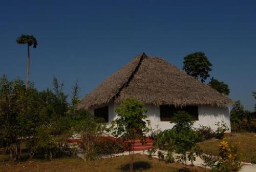 Pemba Island 5H1DX DX News