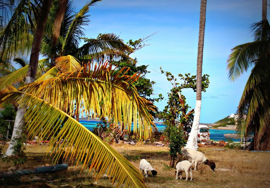 Остров Ангилья VP2EGR Туристические достопримечательности