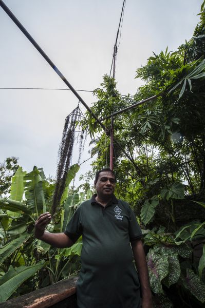 Sri Lanka 4S6WAS Senarath, 4S6WAS, under his home-made rotary antenna on the roof. 