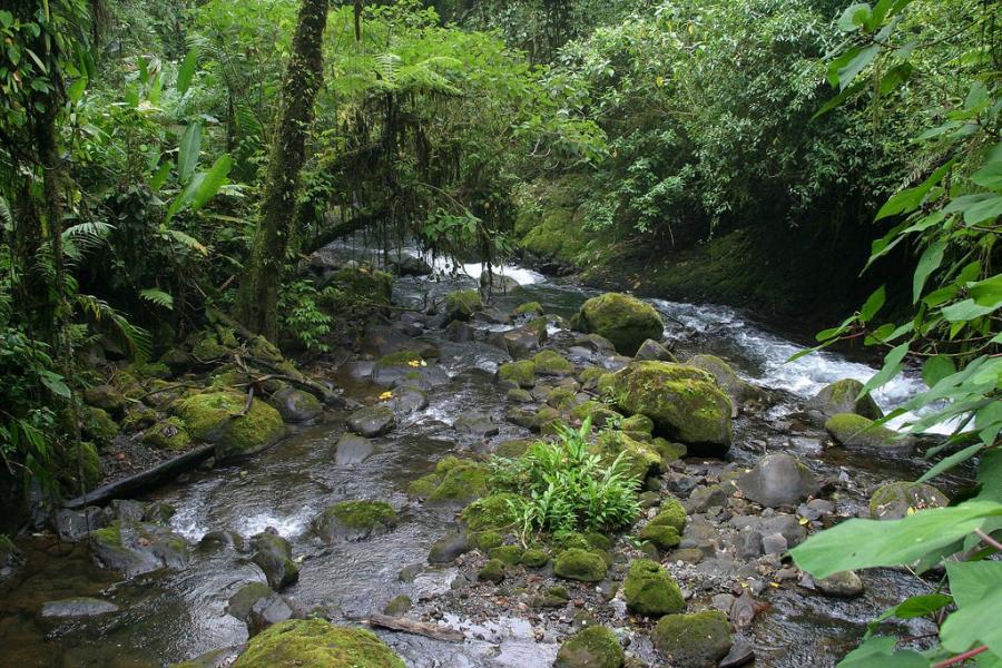 Коста Рика TI5/N5BEK Туристические достопримечательности Речка и джунгли Ла Паз.