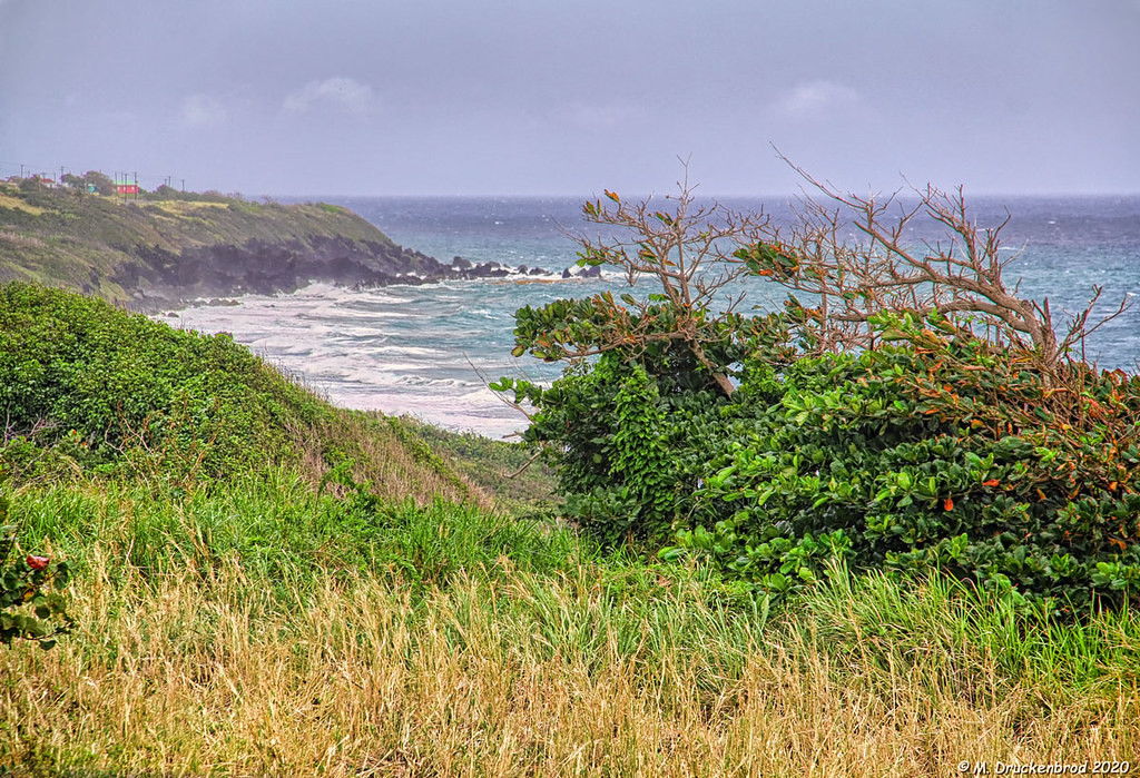 V47Y Saint Kitts Island