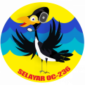 yb3mm-8-selayar.png