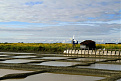 f4gtb-p-noirmoutier.jpg