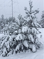 ru1a-winter-2018-2.jpg