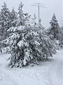 ru1a-winter-2018-4.jpg