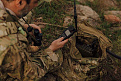 codan-sentry-manpack.jpg