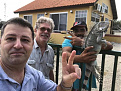 pj4g-bonaire-iguana-1.jpg