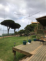 xr0zrc-robinson-crusoe-antennas.jpg