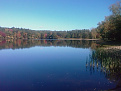 n1and-chicopee.jpg