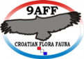 9aff-program-logo.png