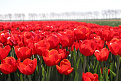 pa-on6ef-p-goeree-overflakkee.jpg