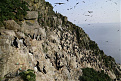 ri0c-iony-image1.jpg