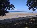 yj0rrc-vanuatu-10nov-1.jpg