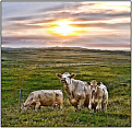 gm4bjm-uist.jpg