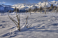al7nc-alaska.jpg