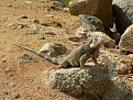 p4dl4hg-aruba.jpg