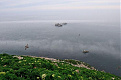 ri0c-iony-image8.jpg