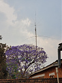 7q6m-malawi-18oct-img1.jpg