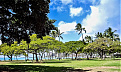kh6-w1ve-hawaii.jpg