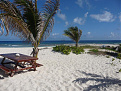 vp2ete-anguilla.jpg