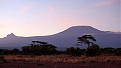 5h3mg-tanzania.jpg