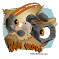 hamvideo.png