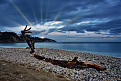 ia5-ik4gro-elba-island.jpg