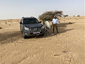 5t5pa-p-sahara-desert-mauritania-dxnews.jpg