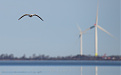 oh1-dl1vfr-reposaari-island.jpg