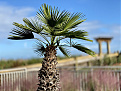 k4qqg-hilton-head-island.jpg