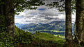 oe7-dd3ms-austria.jpg