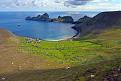 gm4tlh-p-hirta.jpg