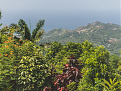 8p6ak-mount-hillaby-barbados.jpg