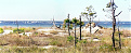 n3me-okaloosa-isladn.jpg