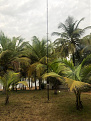 tu5pct-cote-divoire-7feb-2022-img1.jpg