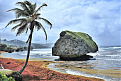 8p6cw-barbados.jpg