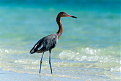 vp5-nn2t-turks-and-caicos.jpg