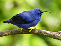 9y4nw-trinidad-dxnews.jpg