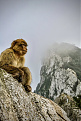 zb2md-gibraltar.jpg