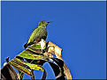 ti5hcm-san-ramon-costa-rica.jpg