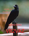 vr2vaz-hong-kong.jpg