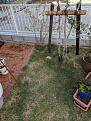 Click image for larger version

Name:	Site for Rod (red gravel near wall).jpg
Views:	418
Size:	493.5 KB
ID:	51265
