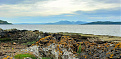 mm8z-cumbrae-island.jpg