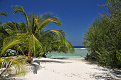 8q7wr-kuredu-island-maldives.jpg