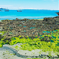 mu-pa2mrk-guernsey-island.jpg
