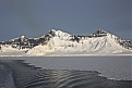 ox-k0mos-p-greenland.jpg