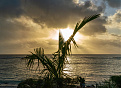 e51wlg-rarotonga-island.jpg