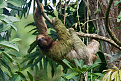 ti2jjp-costa-rica.jpg